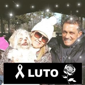 Meet your Posher, Luciane